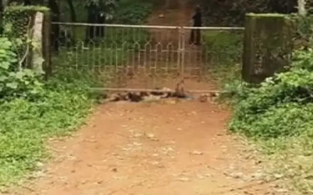 Belthangady: Shocking Incident of Goat Beheadings Linked to Witchcraft