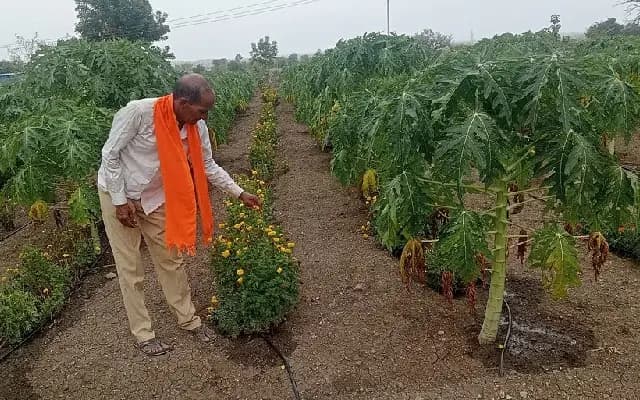 Bidar Farmer Achieves Success with Mixed Cropping