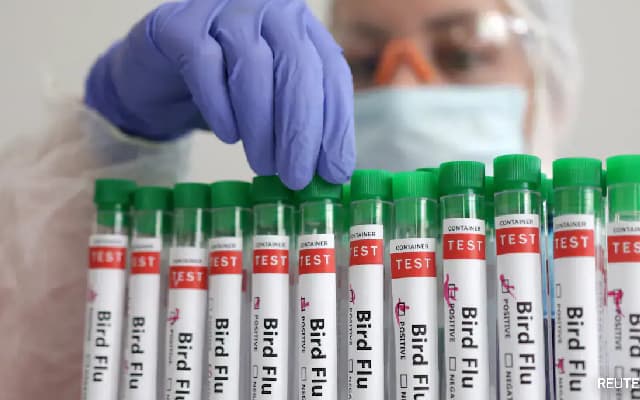 First Case of Bird Flu in India: 4-Year-Old in West Bengal Tests Positive