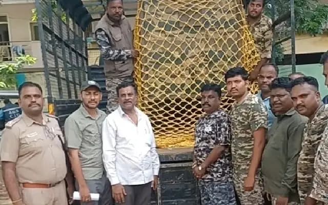 Bear Captured in Chamaraj Nagar District Relocated to Bandipur