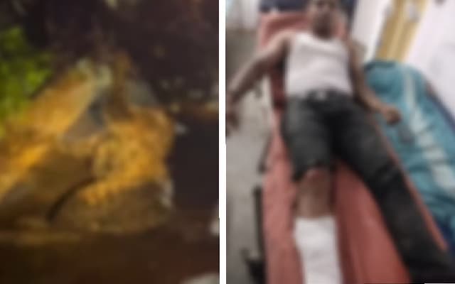 Leopard Injured, Motorcyclist’s Leg Broken in Collision on Ramanagara