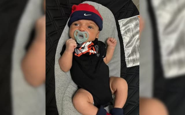 6-Month-Old US Infant Fatally Attacked by Family’s Pet Husky in Crib