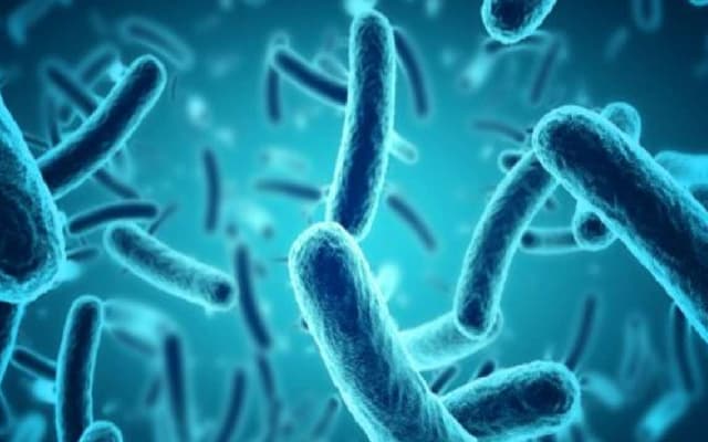 STSS Risk Factors and Symptoms: Know How to Identify and Prevent