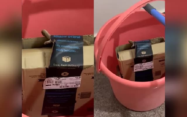 Bengaluru Couple Finds Cobra in Amazon Xbox Package