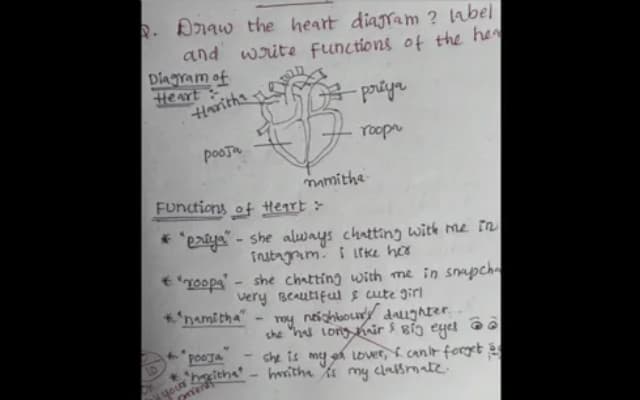 Student’s Hilarious Heart Diagram Goes Viral, Internet Can’t Stop Laughing