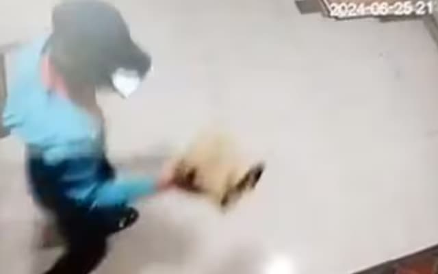 Zomato Delivery Executive Caught Stealing Food on CCTV in Bengaluru