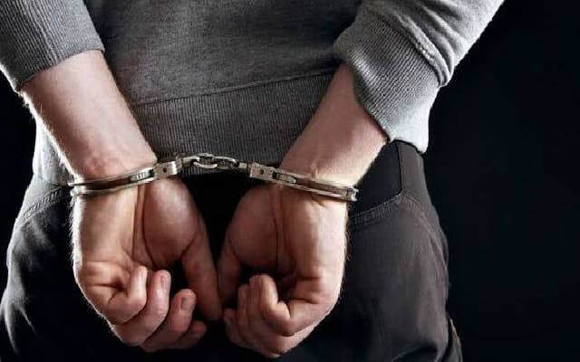 Two Arrested for Illegal Transportation of Turtles