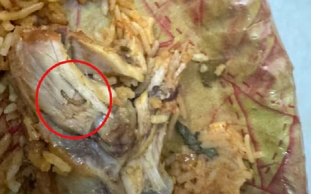 Hyderabad Resident Finds Maggot in Swiggy Biryani, ₹64 Refund Offered