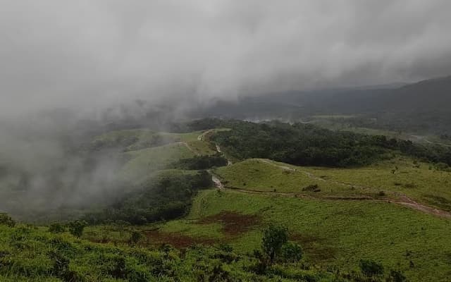 Lack of Coordination Between Departments Strands Tourists at Patlabetta