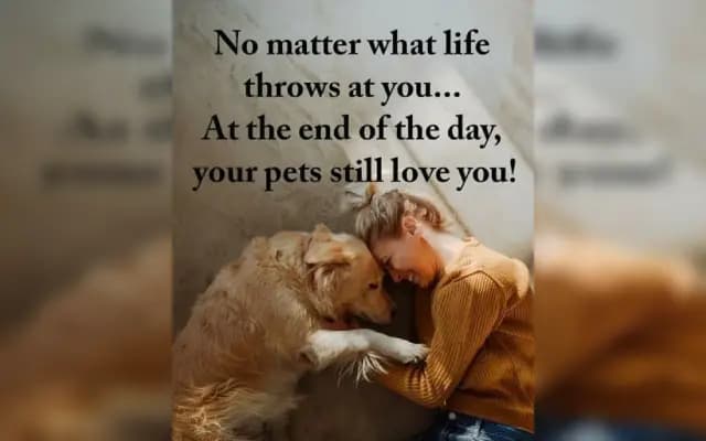 Woman Saved by Pet Dog from Attempted Suicide in Netravati River