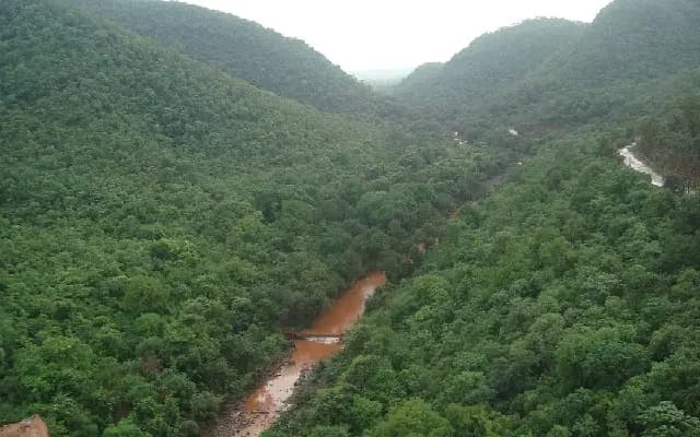 Government Reverses Decision to Cut 99,000 Trees in Sandur, Ballari