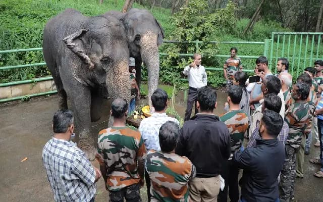 Karnataka to Host International Conference on Man-Animal Conflict in August