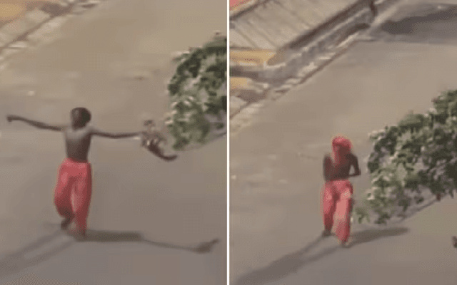 Zomato Delivery Man’s Emotional Response to India’s T20 WC Win Goes Viral