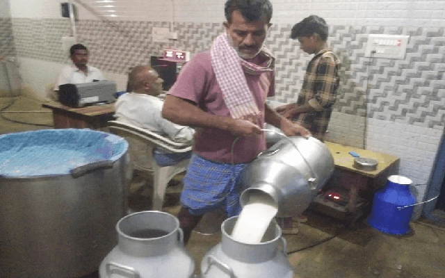 Kochimul Reduces Milk Purchase Price By  ₹2/L; Farmers Express Concern