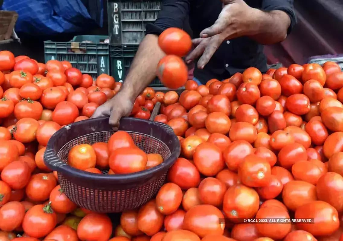 Tomato Prices Skyrocket to Rs 80 per Kg Amidst Supply Chain Disruptions