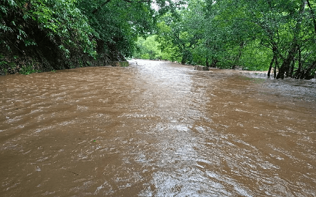 Heavy Rain and Wind Disrupt Daily Life in Joida Taluk
