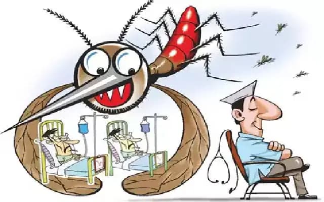 Mangaluru Forms Expert Committee to Tackle Dengue Surge