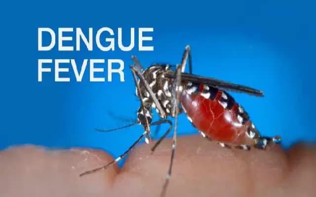 Dengue Outbreak in Haveri District: Cases and Precautions