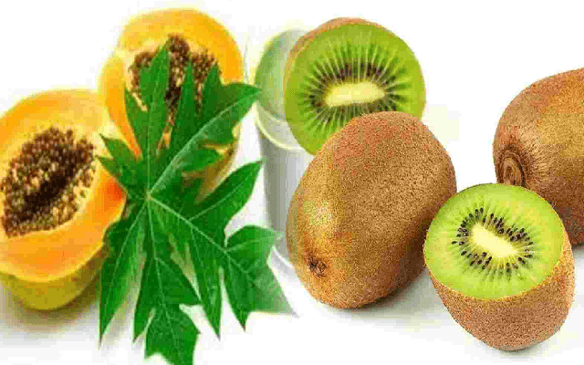 Dengue Surge Fuels Demand for Papayas and Kiwis in Bengaluru