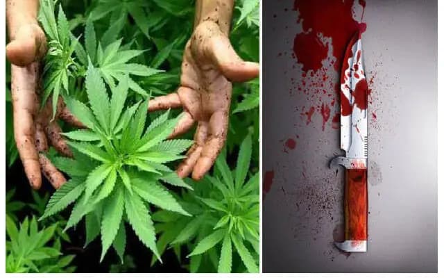 Clash Over Ganja Dispute Leads to Assault in Udyavara