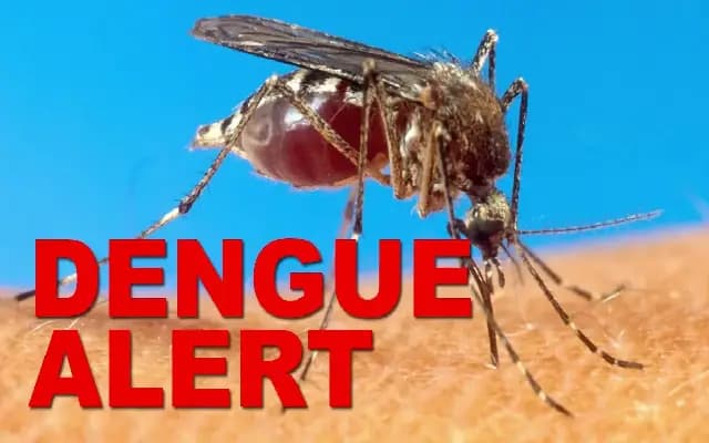Haveri District Reports 515 Dengue Cases, One Death Since January