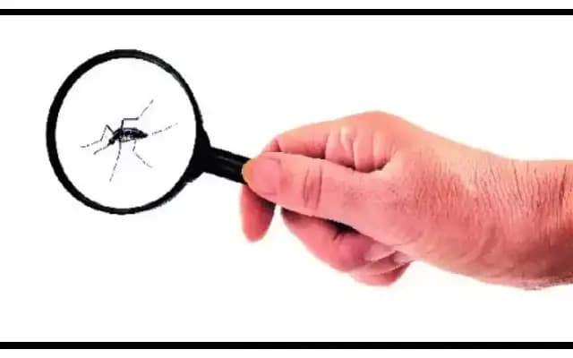 Dengue Awareness Campaign Initiated in Belagavi District