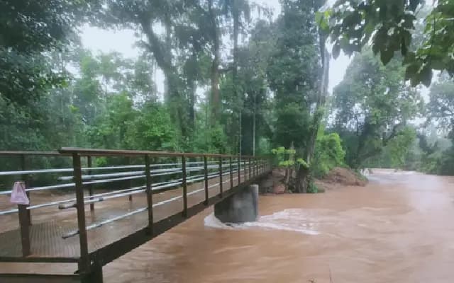 Innovative Footbridges Inaugurated in Remote Western Ghats Villages