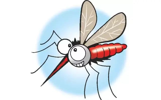 BBMP Announces Cash Prizes for ‘Dengue Warrior’ Short Video Contest
