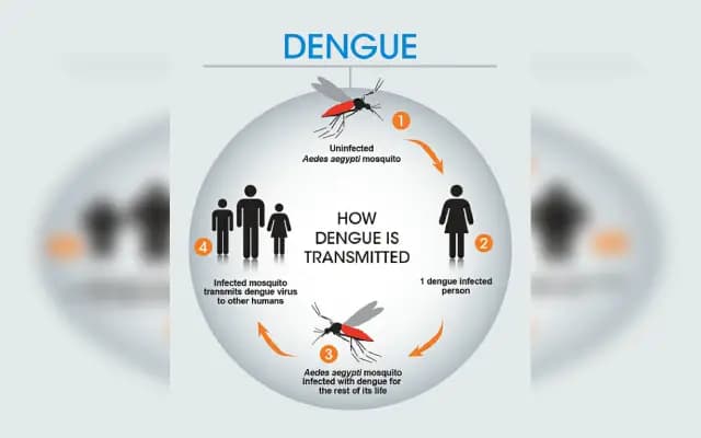 Bengaluru Private Hospitals Strain Under Dengue and Flu Surge