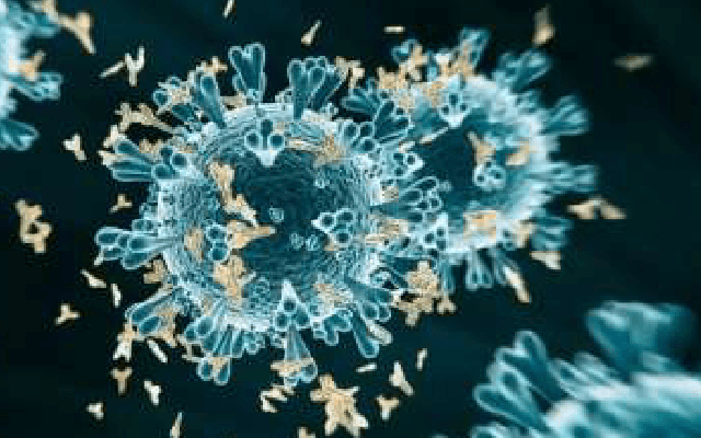 16 Dead Due To Chandipura Virus, 50 Cases Reported: Gujarat Minister