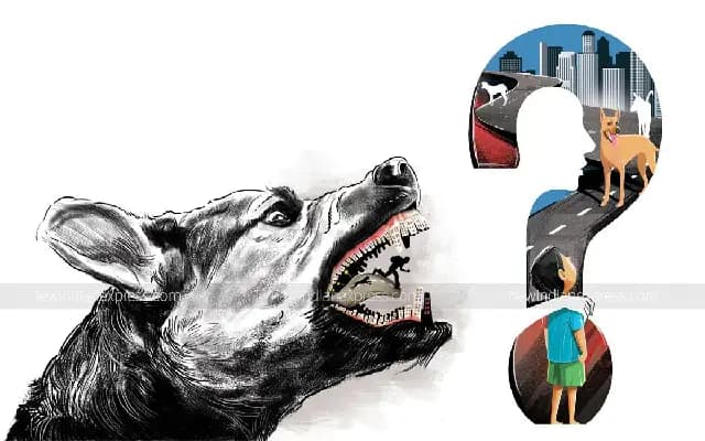 Rabid Dog Attack in Udupi Injures Eight, Prompt Response by Authorities