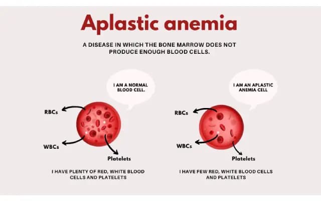 Home Doctor Foundation Raises Rs 20 Lac in 22 Days for Aplastic Anaemia Treatment