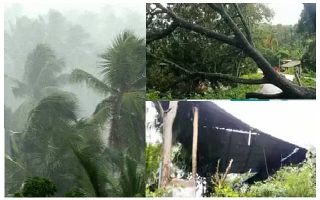 Whirlwind Causes Devastation in Thrissur District