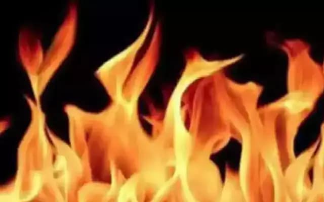 Ammonia Gas Leak in Thoothukudi Seafood Plant Hospitalizes 31