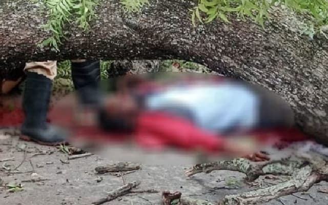 Two Hescom Employees Killed as Tree Falls on Bike in Hirekerur