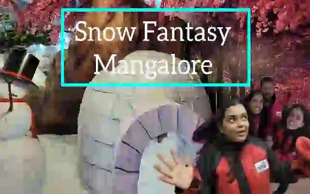 Dive into a Winter Wonderland at Snow Fantasy in Mangaluru
