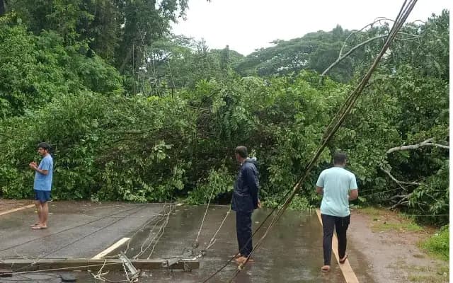 MESCOM Introduces Emergency Hotlines for Serious Issues