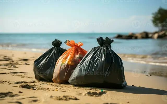 Plastic Byproduct Bags Found on Tannirbhavi Beach