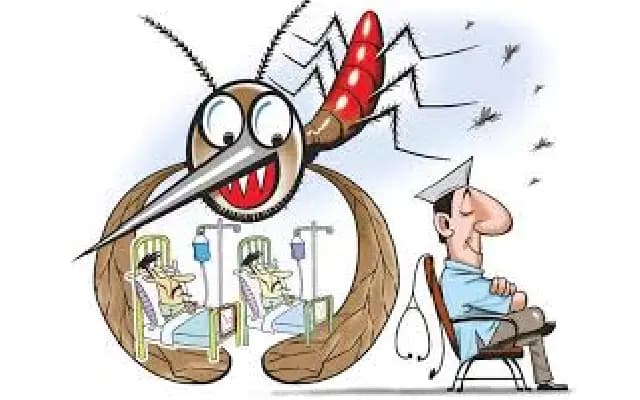 Urgent Measures Against Dengue Outbreak in Dakshina Kannada