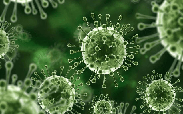 What is Nipah Virus? Causes, Symptoms, Treatment, and More on this Zoonotic Infection