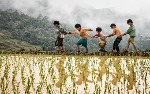 Paddy and Slush: Where Farmers Work and Children Play