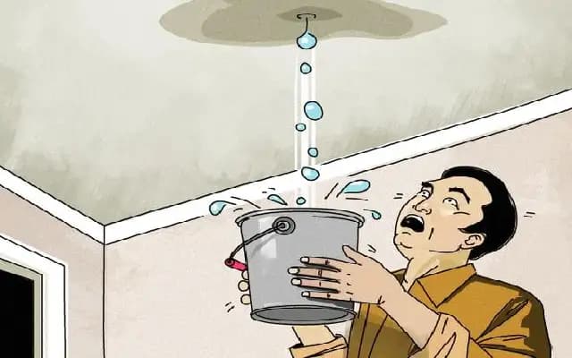 Leaky Roof Forces Indoor Umbrella Use at Deputy Commissioner’s Office