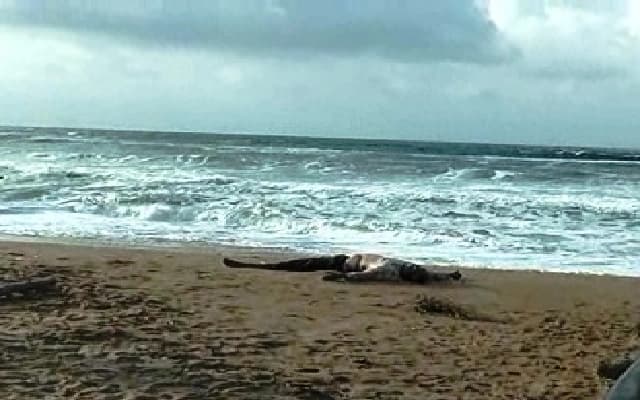 Unidentified Body Discovered on Beijadi Beach