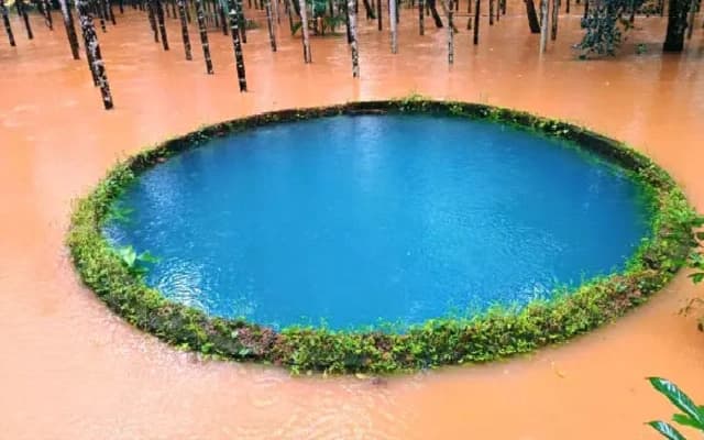 Viral Photo of Uncontaminated Well in Flooded Farm Exposed as Fake News