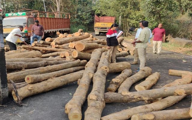 Mangaluru Forest Squad Seizes Illegal Timber Worth Rs 5.5 Lakh