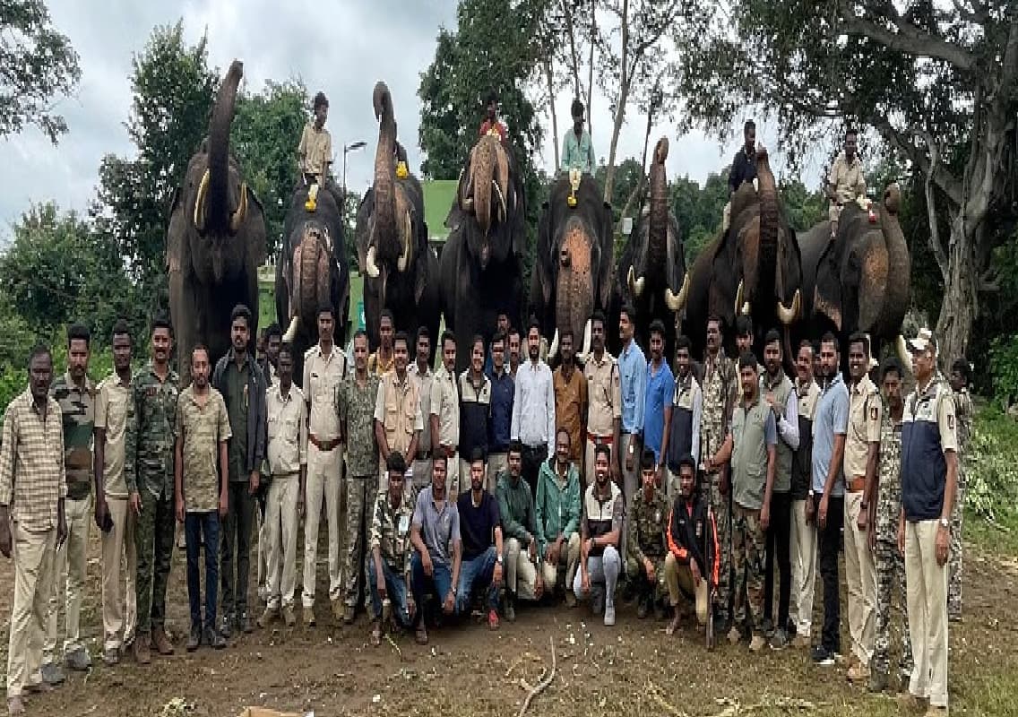 Elephant Capture Operation Halted in Bengaluru Due to Missing Onti Koli