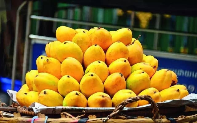 Kempegowda International Airport Bengaluru Celebrates Record Mango Export Season