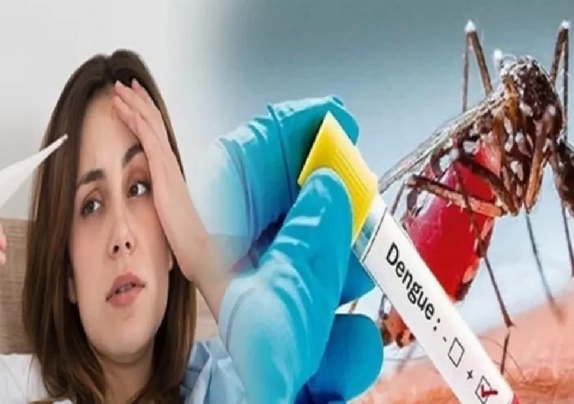 Bengaluru Battles Dengue Surge: 30 New Hotspots Identified