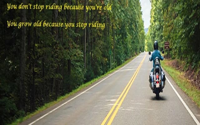When Life Throws You a Curve Ball: A Solo Bike Ride to Chikmagalur on a Dominar