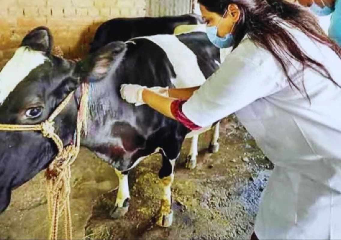 Kerala Sets Up Control Room for Stranded Animals Following Wayanad Landslides